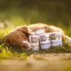 VETEXPERT RAW PALEO Adult Monoprotein Duck 400 g Nassfutter für Hunde, glutenfrei, sojafrei, bei Futtermittelallergien