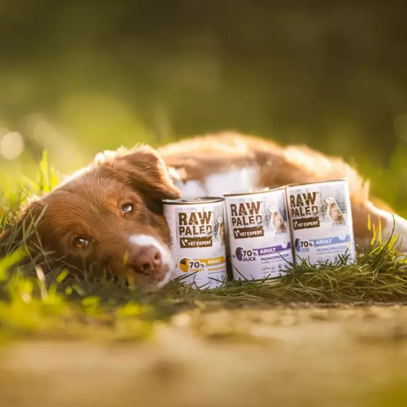 VETEXPERT RAW PALEO Adult Monoprotein Duck 400 g Nassfutter für Hunde, glutenfrei, sojafrei, bei Futtermittelallergien