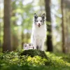 Nassfutter für Hunde VETEXPERT RAW PALEO Puppy Monoprotein Ente 400 g, Feuchtigkeit 74,8 %, Protein 9,6 %, Fett 10,6 %