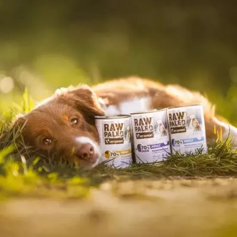 Nassfutter für Hunde VETEXPERT RAW PALEO Adult Monoprotein Truthahn 800 g Dose, getreidefrei, glutenfrei, bei Futtermittelallergien