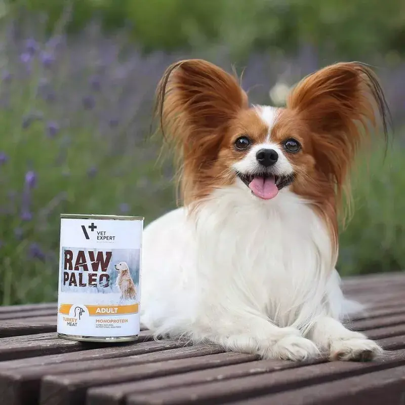 Nassfutter für Hunde VETEXPERT RAW PALEO Adult Monoprotein Truthahn 800 g Dose, getreidefrei, glutenfrei, bei Futtermittelallergien