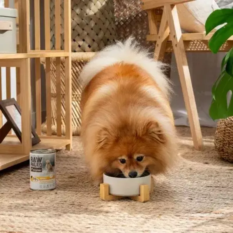 Nassfutter für Hunde VETEXPERT RAW PALEO Adult Monoprotein Truthahn 800 g Dose, getreidefrei, glutenfrei, bei Futtermittelallergien