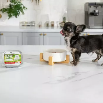 Nassfutter für Welpen VETEXPERT RAW PALEO Pâté Mini Beef — Monoprotein-Rind 150 g Dose für Welpen kleiner Rassen