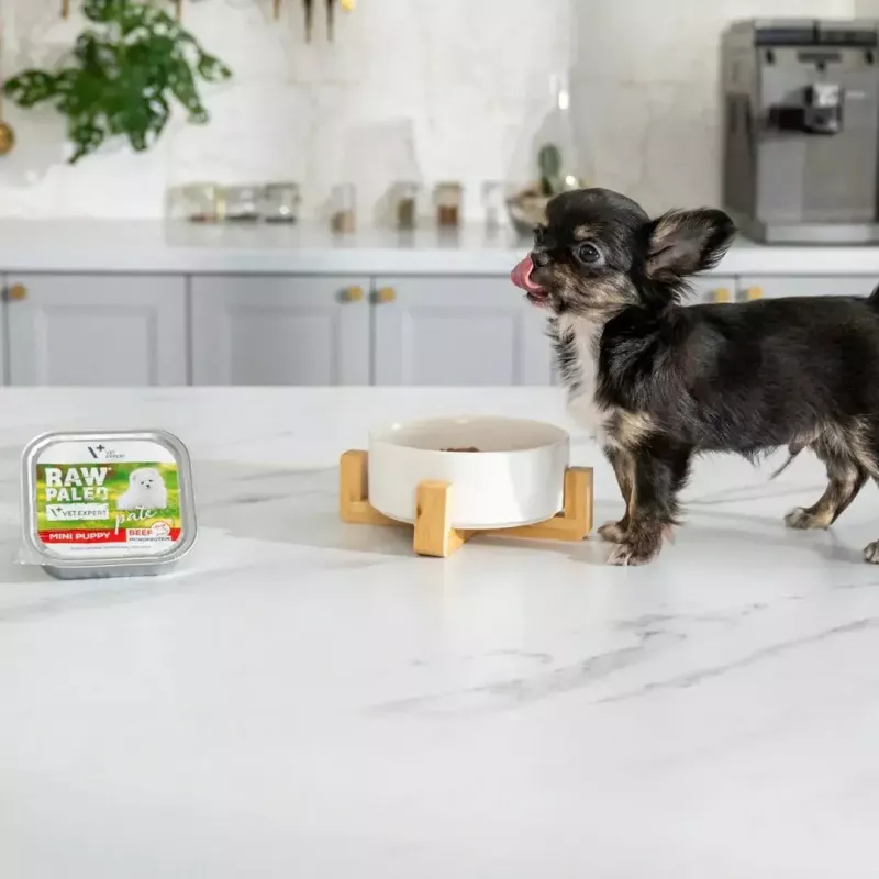 Nassfutter für Welpen VETEXPERT RAW PALEO Pâté Mini Beef — Monoprotein-Rind 150 g Dose für Welpen kleiner Rassen