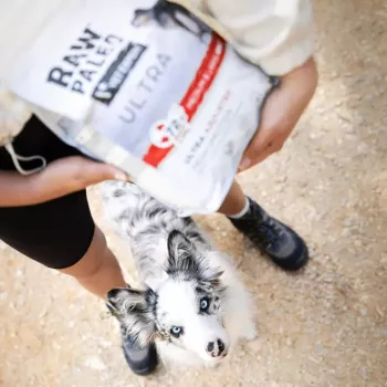 Trockenfutter für Hunde VETEXPERT RAW PALEO Ultra Mini Adult Beef 2 kg — Alleinfuttermittel für adulte Hunde kleiner Rassen, 28,5 % Protein, 16 % Fett
