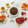 Trockenfutter für Welpen VETEXPERT RAW PALEO Ultra Medium & Large Beef 2 kg – Rind, Protein 30,5 %, Fett 16,5 %