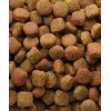 Trockenfutter VERSELE-LAGA Senior Duo Krok 20 kg — Geflügel, 22 % Protein, 8 % Fett, ausgewachsene Hunde