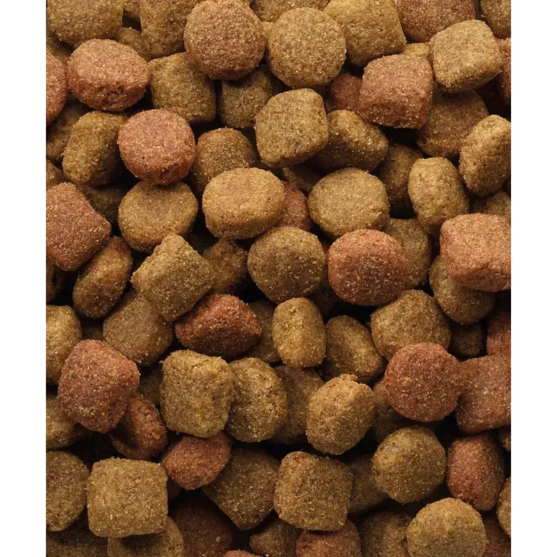 Trockenfutter VERSELE-LAGA Senior Duo Krok 20 kg — Geflügel, 22 % Protein, 8 % Fett, ausgewachsene Hunde