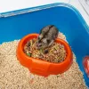 Käfig FERPLAST Combi 2 für Hamster, Blau Transparent, B795×T295×H263 mm, Technopolymer