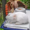 Käfig FERPLAST Rabbit 120 Blau — Metall- und Kunststoffkäfig für Kaninchen 1180×585×495 mm, für Kaninchen 5–9,9 kg