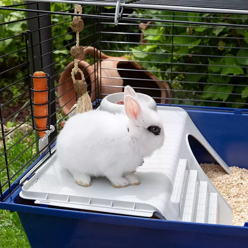 Käfig FERPLAST Rabbit 120 Blau — Metall- und Kunststoffkäfig für Kaninchen 1180×585×495 mm, für Kaninchen 5–9,9 kg