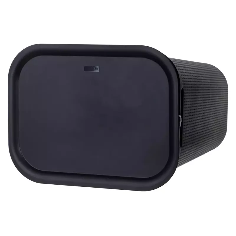 Wäschekorb rotho Brisen 50 l belüfteter Kunststoff-Wäschesammler mit Deckel und Aufhängeloch, schwarz, 340×431×529 mm