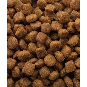 Trockenfutter für Hunde VERSELE-LAGA Lamb & Rice 20 kg — Ausgewachsene Hunde, Alle Rassengrößen, 22% Protein, 10% Fett