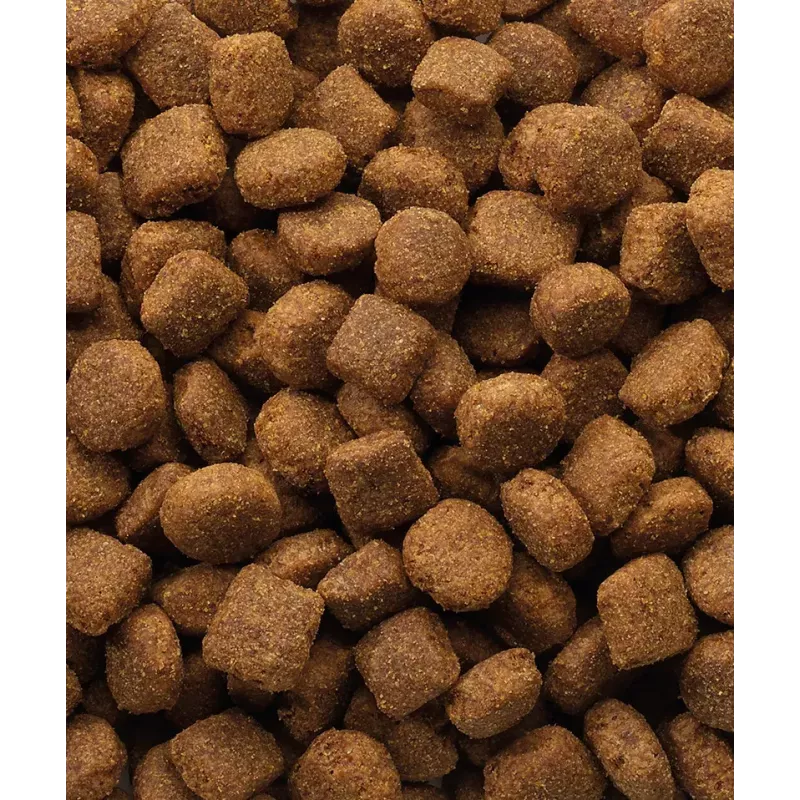 Trockenfutter für Hunde VERSELE-LAGA Lamb & Rice 20 kg — Ausgewachsene Hunde, Alle Rassengrößen, 22% Protein, 10% Fett