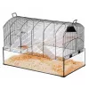 Käfig ZOLUX NeoPanas XL Glaskäfig für Nagetiere, schwarz, Maße 710×410×490 mm, Glaswanne Höhe 180 mm, inklusive 2 Regale, 2 Plattformen, Napf, Haus, Laufrad