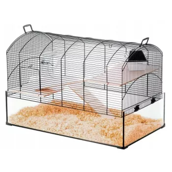 Käfig ZOLUX NeoPanas XL Glaskäfig für Nagetiere, schwarz, Maße 710×410×490 mm, Glaswanne Höhe 180 mm, inklusive 2 Regale, 2 Plattformen, Napf, Haus, Laufrad