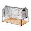 Käfig ZOLUX NeoPanas XL Glaskäfig für Nagetiere, schwarz, Maße 710×410×490 mm, Glaswanne Höhe 180 mm, inklusive 2 Regale, 2 Plattformen, Napf, Haus, Laufrad