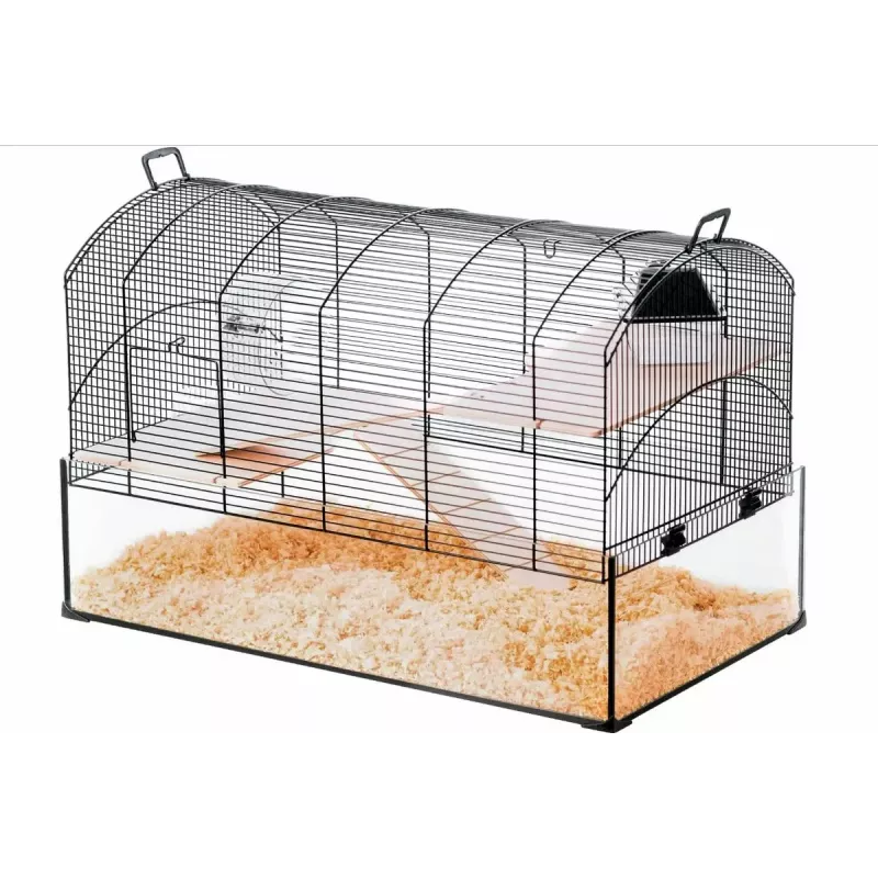 Käfig ZOLUX NeoPanas XL Glaskäfig für Nagetiere, schwarz, Maße 710×410×490 mm, Glaswanne Höhe 180 mm, inklusive 2 Regale, 2 Plattformen, Napf, Haus, Laufrad