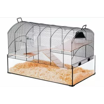 Käfig ZOLUX NeoPanas XL Glaskäfig für Nagetiere, schwarz, Maße 710×410×490 mm, Glaswanne Höhe 180 mm, inklusive 2 Regale, 2 Plattformen, Napf, Haus, Laufrad