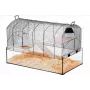 Käfig ZOLUX NeoPanas XL Glaskäfig für Nagetiere, schwarz, Maße 710×410×490 mm, Glaswanne Höhe 180 mm, inklusive 2 Regale, 2 Plattformen, Napf, Haus, Laufrad