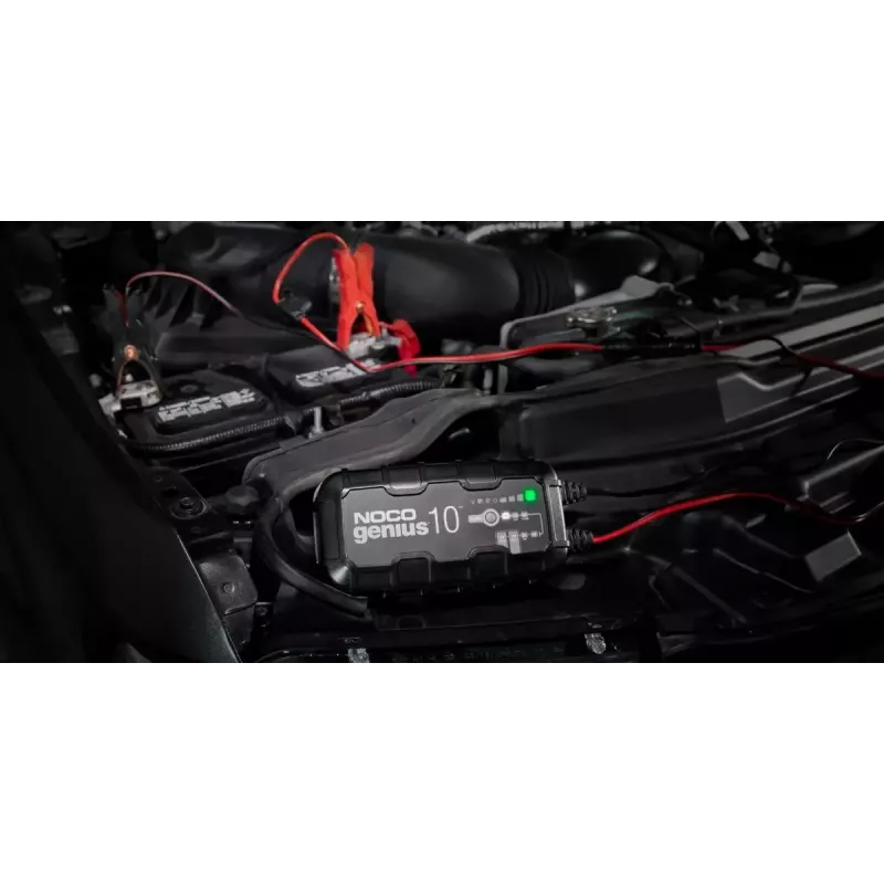 Batterieladegerät NOCO GENIUS10 EU 10 A für 6V- und 12V-Batterien — Wartung und Desulfatierung, 150 W, Li‑Ion/AGM/Gel, IPX wasserbeständig