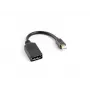 LANBERG DisplayPort-Kabel Mini DisplayPort - 0,12 m Schwarz