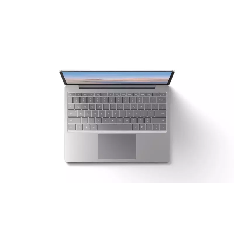 MICROSOFT Surface Laptop Go - 12,4 Zoll - i5 1035g1 - 8 GB RAM - 256 GB SSD - Win10 Pro - Platin - QWERTZ International - UHD Graphics