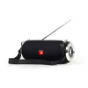 GEMBIRD tragbarer BT-Lautsprecher mit FM-Radio und Antenne - Schwarz