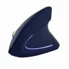 GEMBIRD optische Maus MUS-ERGO-01 - ergonomisch, 6 Tasten, Rad, USB, Schwarz