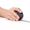 GEMBIRD optische Maus MUS-ERGO-01 - ergonomisch, 6 Tasten, Rad, USB, Schwarz