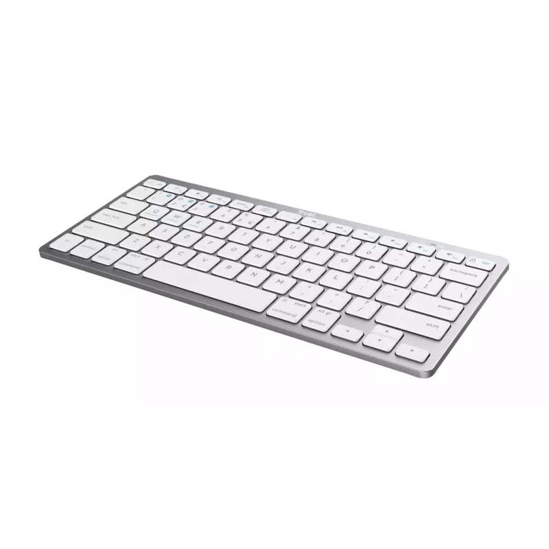 Trust 24651 drahtlose QWERTY US English Tastatur, Silber