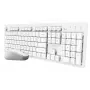 Trust Ody II Tastatur Maus enthalten Home/Office RF Wireless QWERTY US-Englisch Weiß
