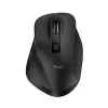 Trust Fyda Wireless RF Wireless + USB Type-A Maus