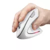 Trust Verto Maus Büro Rechtshändig RF Kabellos Optisch 1600 DPI