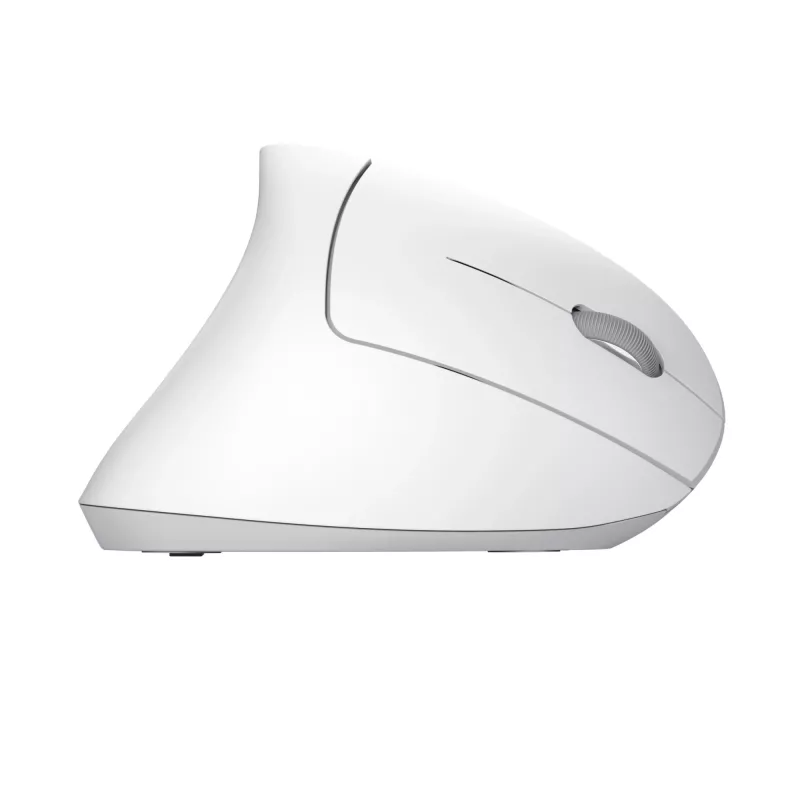Trust Verto Maus Büro Rechtshändig RF Kabellos Optisch 1600 DPI