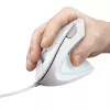 Trust Verto Maus Büro Rechtshändig USB Typ-A Optisch 1600 DPI
