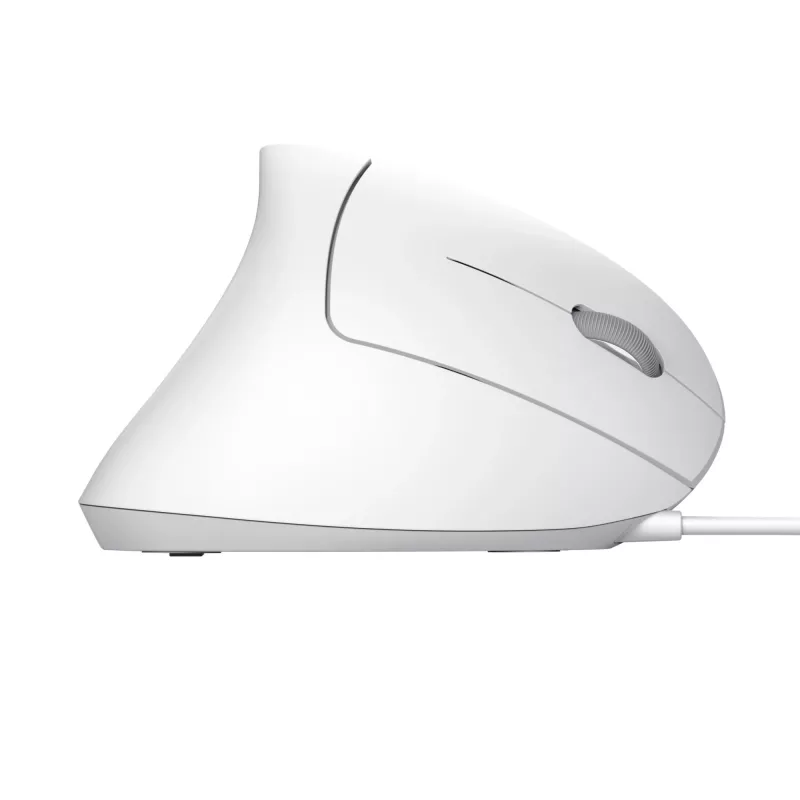Trust Verto Maus Büro Rechtshändig USB Typ-A Optisch 1600 DPI