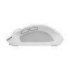 Trust Ozaa Maus Büro Rechtshändig RF Wireless + Bluetooth Optisch 3200 DPI