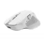 Trust Ozaa+ Maus, Büro, Rechtshänder, RF Wireless + Bluetooth 24935