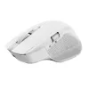 Trust Ozaa+ Maus, Büro, Rechtshänder, RF Wireless + Bluetooth 24935