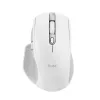 Trust Ozaa+ Maus, Büro, Rechtshänder, RF Wireless + Bluetooth 24935