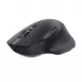 Trust Ozaa+ Maus Office Rechtshänder RF Wireless + Bluetooth 3200 DPI
