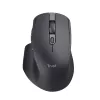 Trust Ozaa+ Maus Office Rechtshänder RF Wireless + Bluetooth 3200 DPI