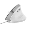 Trust Bayo II Maus Büro Rechtshänder USB Typ-A Optisch 2400 DPI