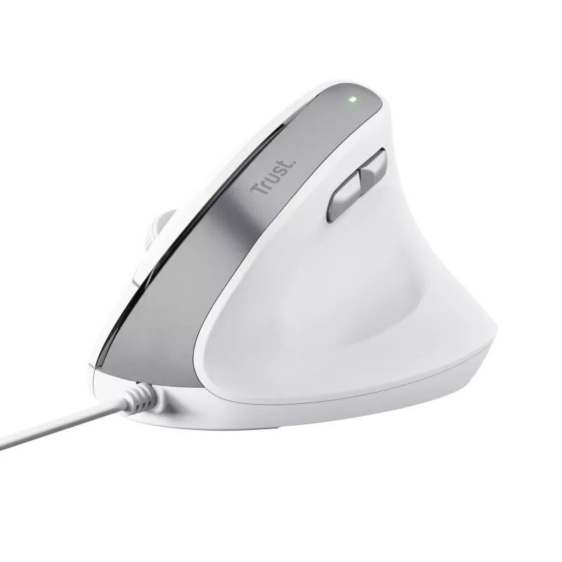 Trust Bayo II Maus Büro Rechtshänder USB Typ-A Optisch 2400 DPI