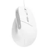 Trust Bayo II Maus Büro Rechtshänder USB Typ-A Optisch 2400 DPI