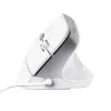 Trust Bayo II Maus Büro Rechtshänder USB Typ-A Optisch 2400 DPI
