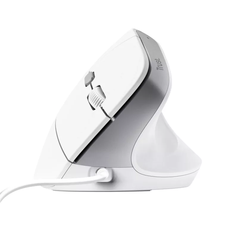 Trust Bayo II Maus Büro Rechtshänder USB Typ-A Optisch 2400 DPI