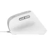 Trust Bayo II Maus Büro Rechtshänder USB Typ-A Optisch 2400 DPI