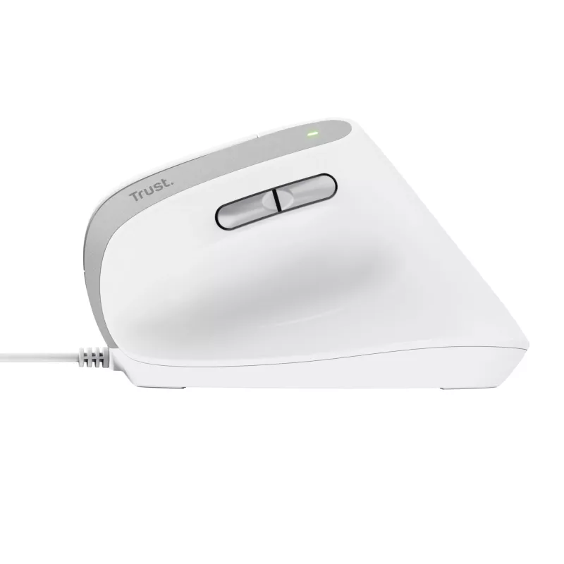 Trust Bayo II Maus Büro Rechtshänder USB Typ-A Optisch 2400 DPI